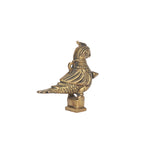 Brass Parrot Surmedani