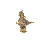 Brass Parrot Surmedani